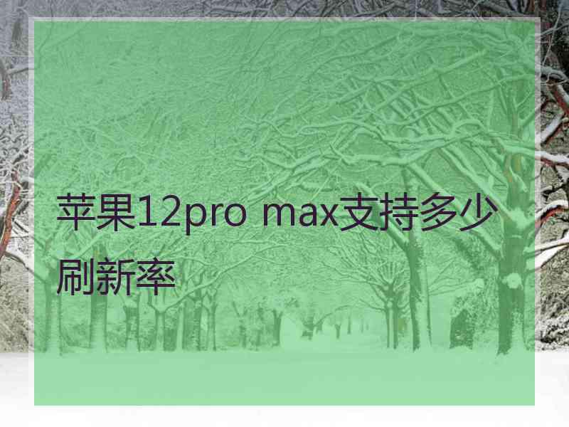 苹果12pro max支持多少刷新率