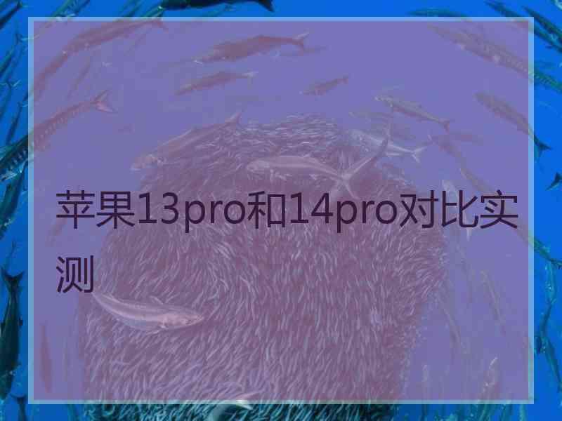 苹果13pro和14pro对比实测