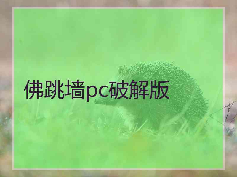 佛跳墙pc破解版