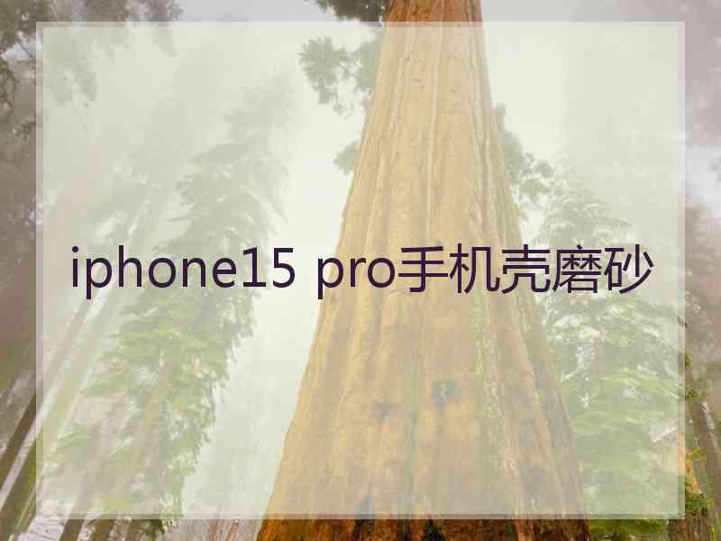 iphone15 pro手机壳磨砂