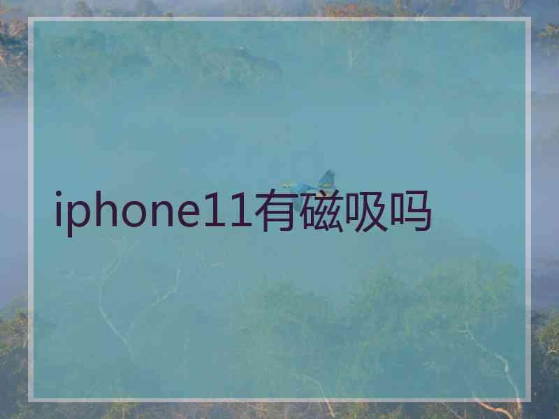 iphone11有磁吸吗