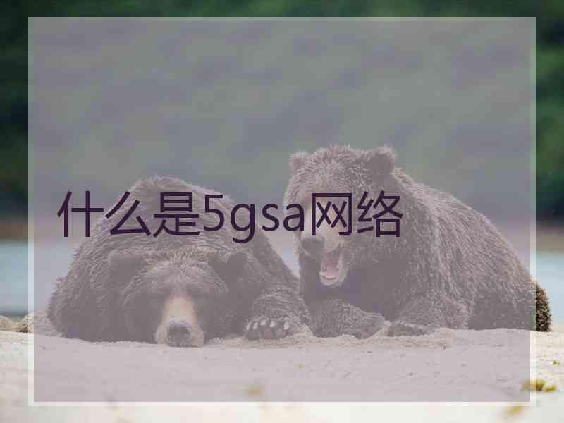 什么是5gsa网络