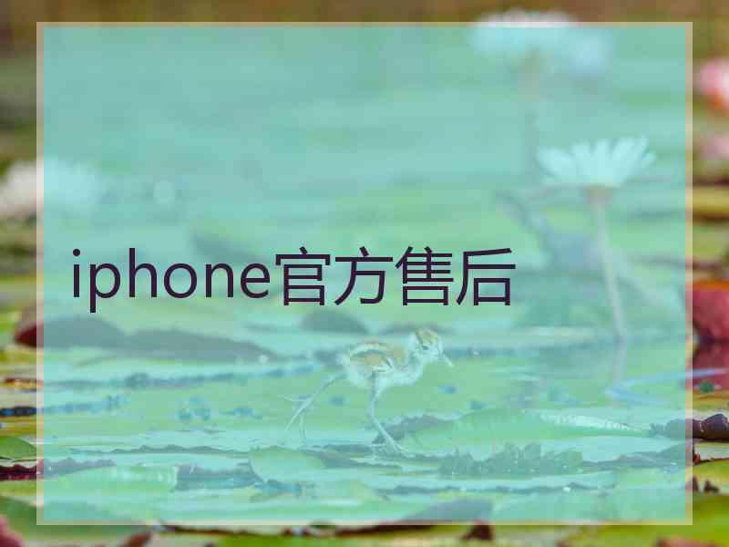 iphone官方售后