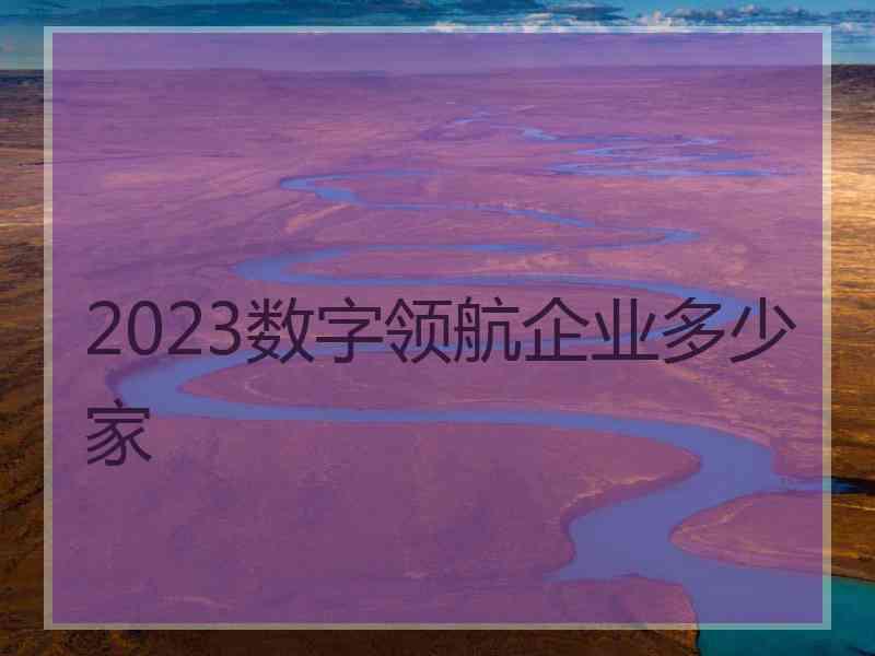 2023数字领航企业多少家