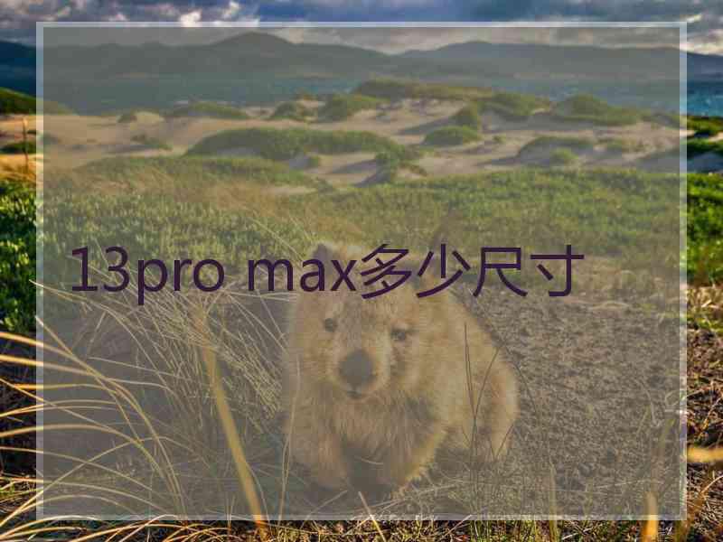 13pro max多少尺寸