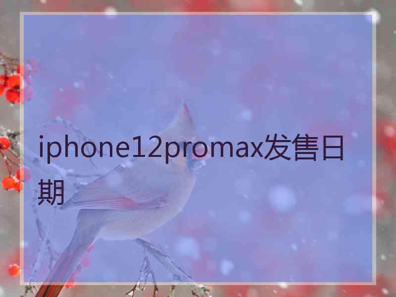 iphone12promax发售日期