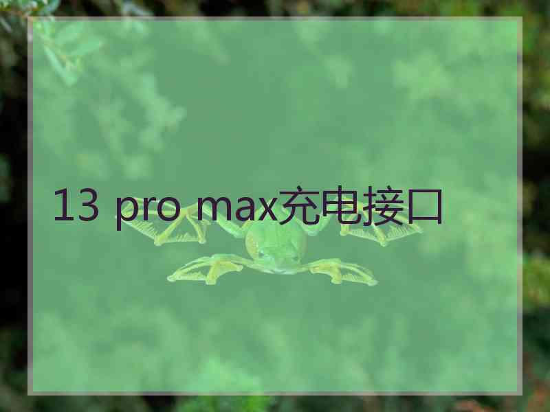 13 pro max充电接口