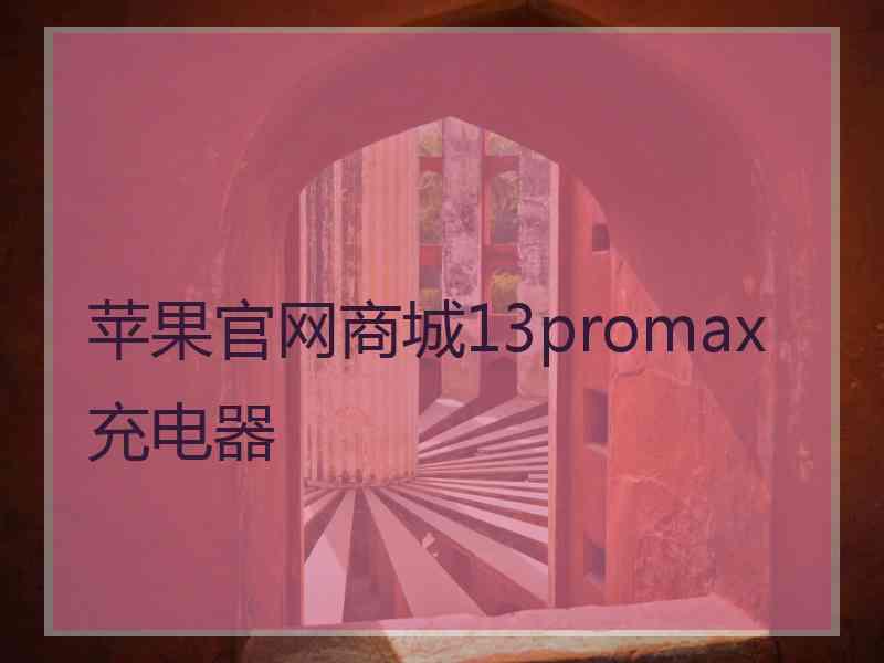 苹果官网商城13promax充电器