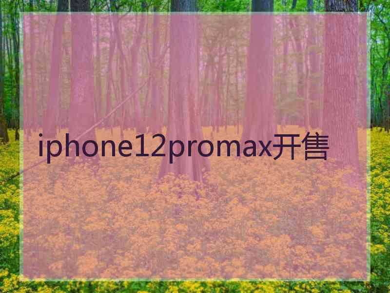 iphone12promax开售