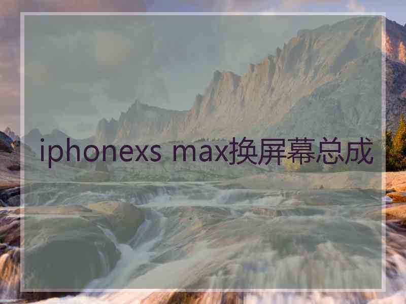 iphonexs max换屏幕总成