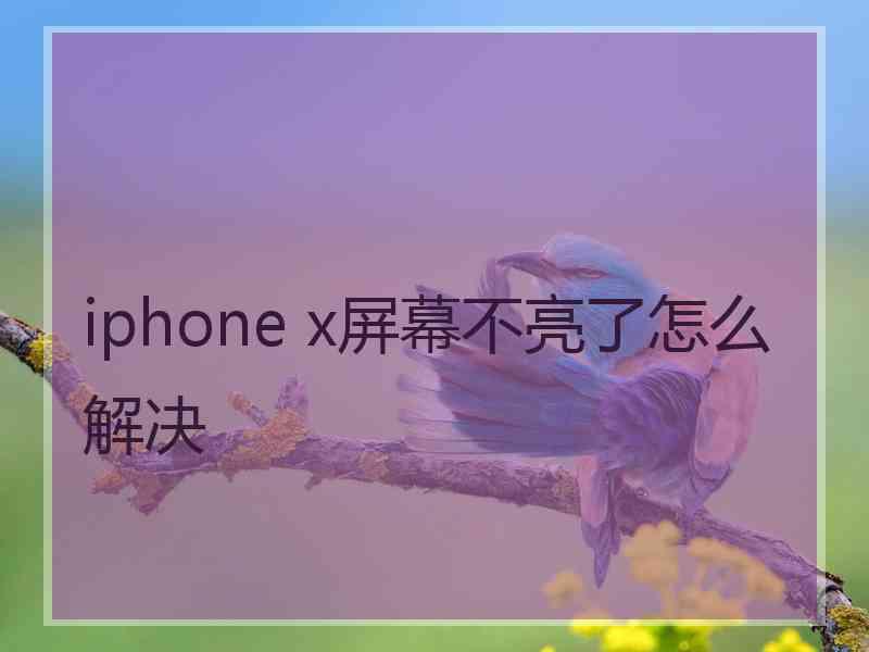 iphone x屏幕不亮了怎么解决