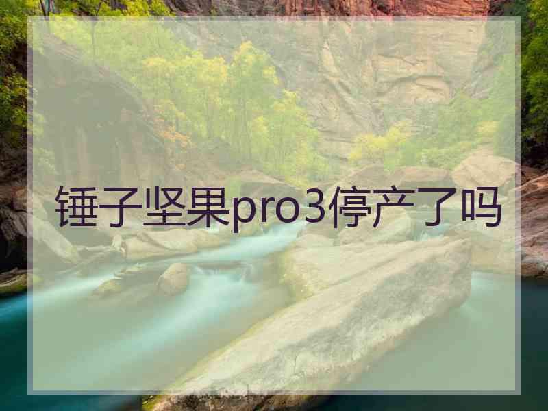 锤子坚果pro3停产了吗