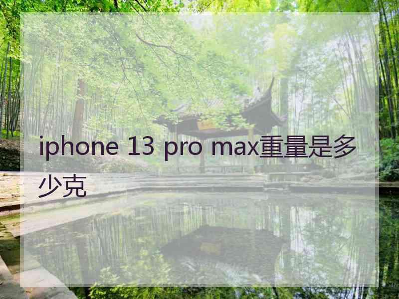 iphone 13 pro max重量是多少克