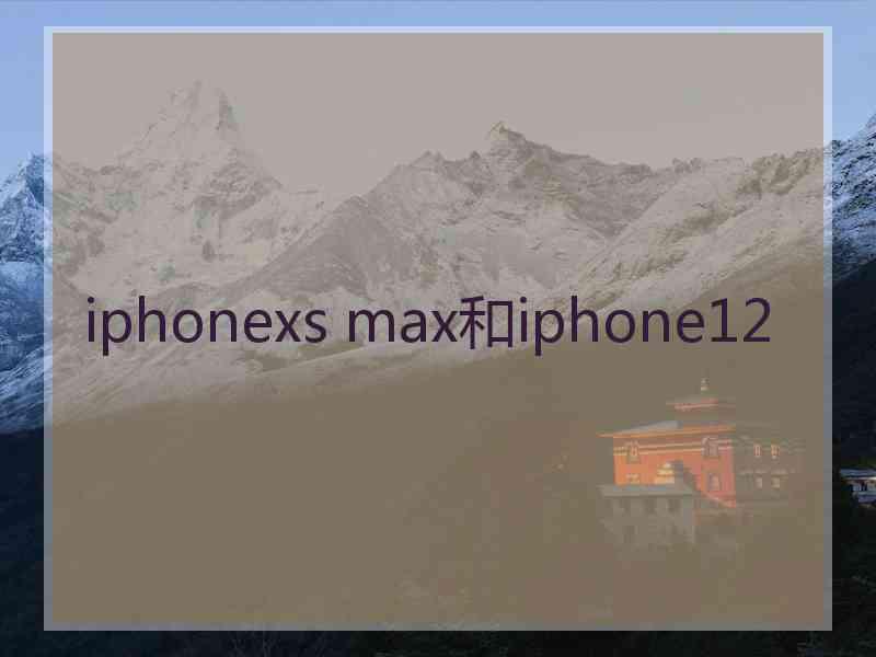 iphonexs max和iphone12