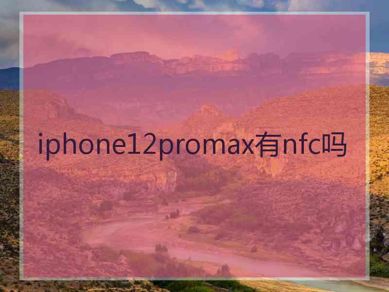 iphone12promax有nfc吗