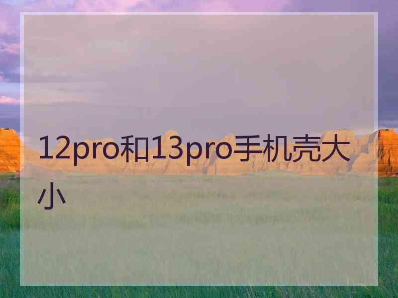 12pro和13pro手机壳大小