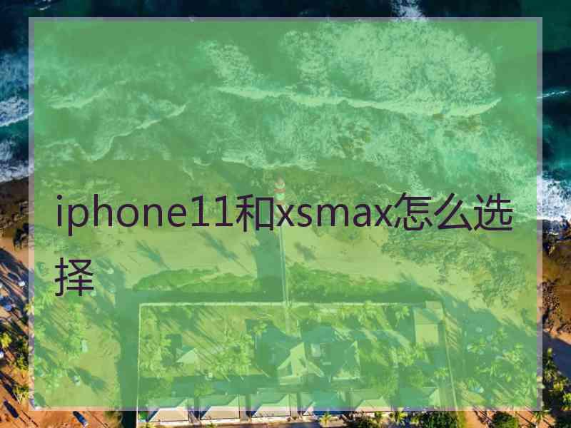 iphone11和xsmax怎么选择