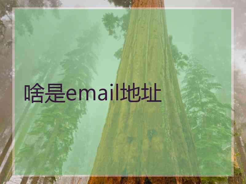 啥是email地址