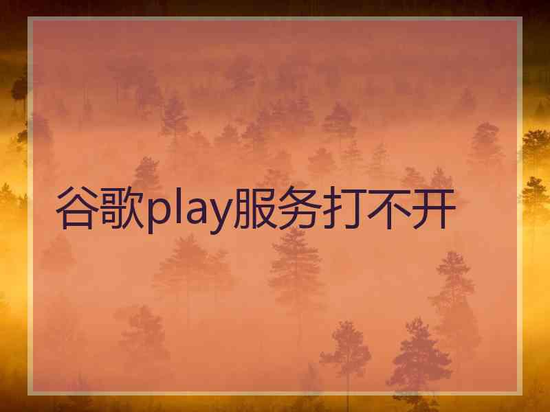 谷歌play服务打不开