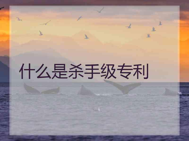 什么是杀手级专利