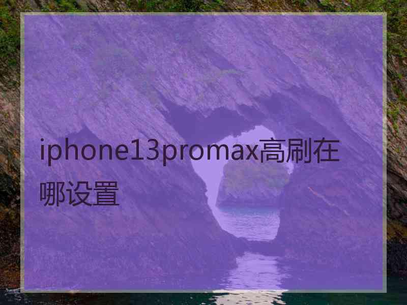 iphone13promax高刷在哪设置