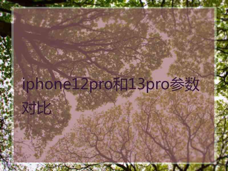 iphone12pro和13pro参数对比