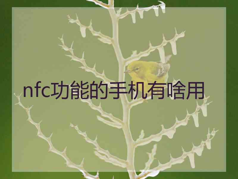 nfc功能的手机有啥用