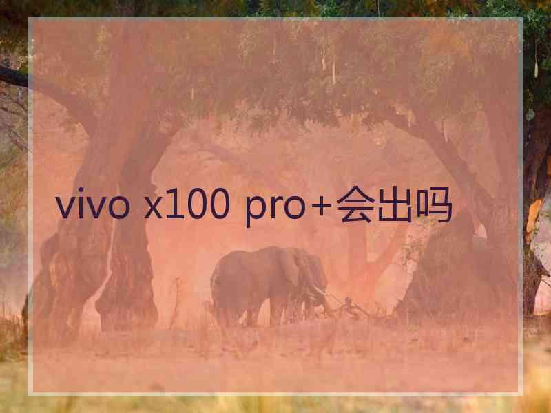 vivo x100 pro+会出吗