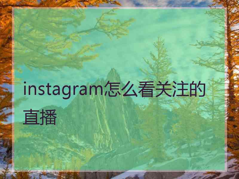 instagram怎么看关注的直播