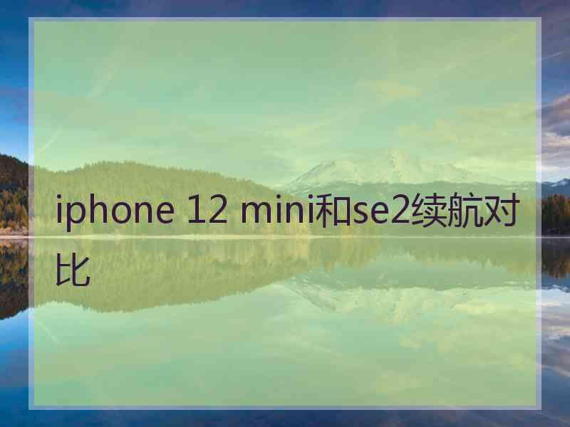 iphone 12 mini和se2续航对比