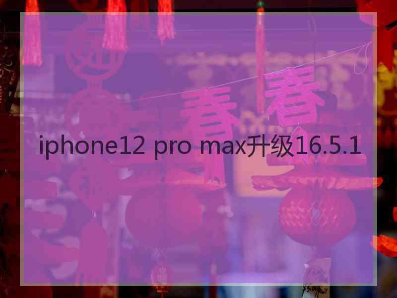 iphone12 pro max升级16.5.1