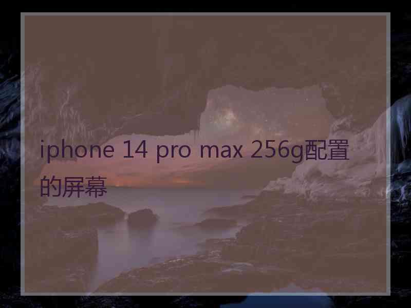 iphone 14 pro max 256g配置的屏幕