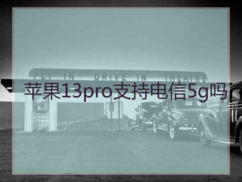 苹果13pro支持电信5g吗