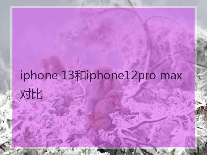 iphone 13和iphone12pro max对比