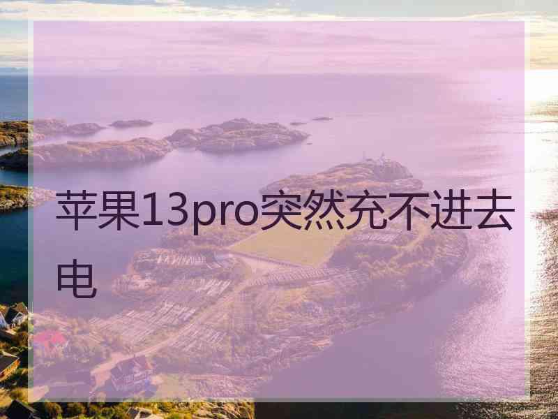 苹果13pro突然充不进去电