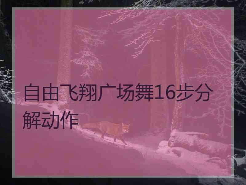 自由飞翔广场舞16步分解动作