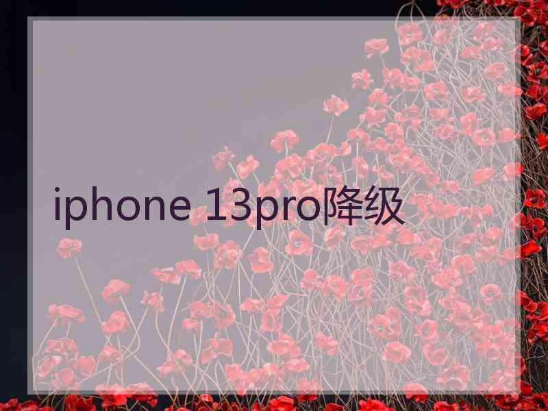 iphone 13pro降级