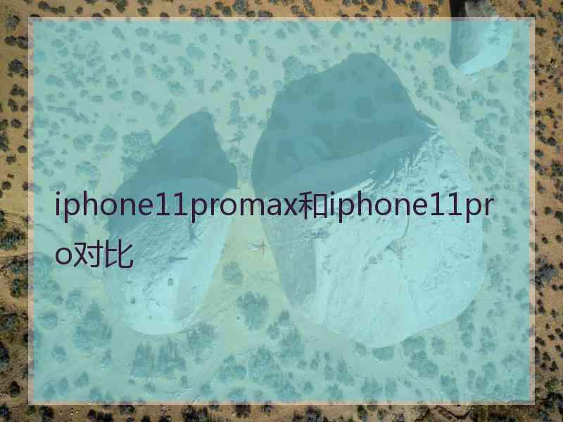 iphone11promax和iphone11pro对比