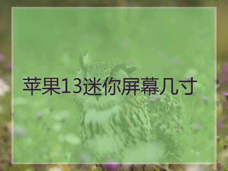 苹果13迷你屏幕几寸