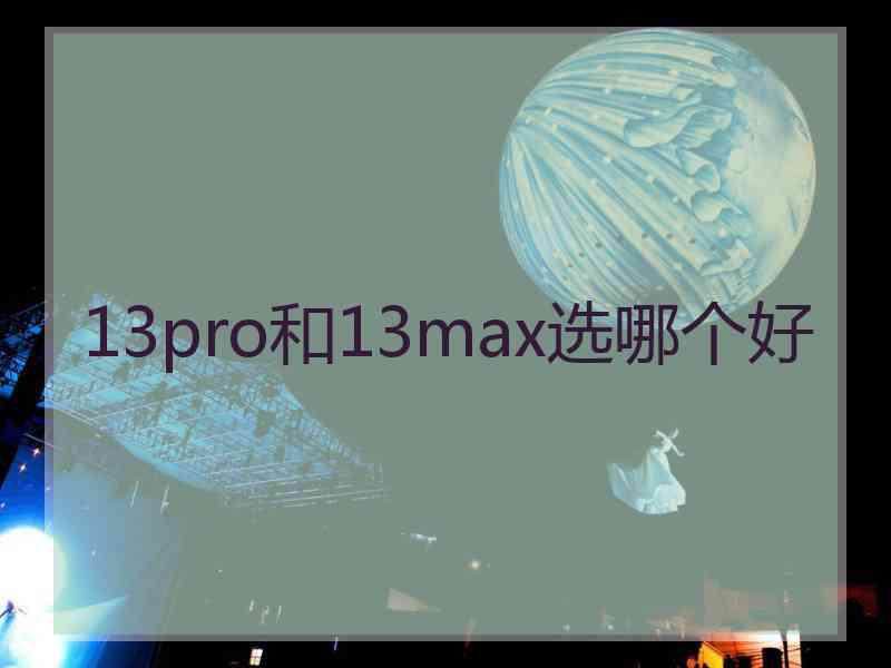 13pro和13max选哪个好