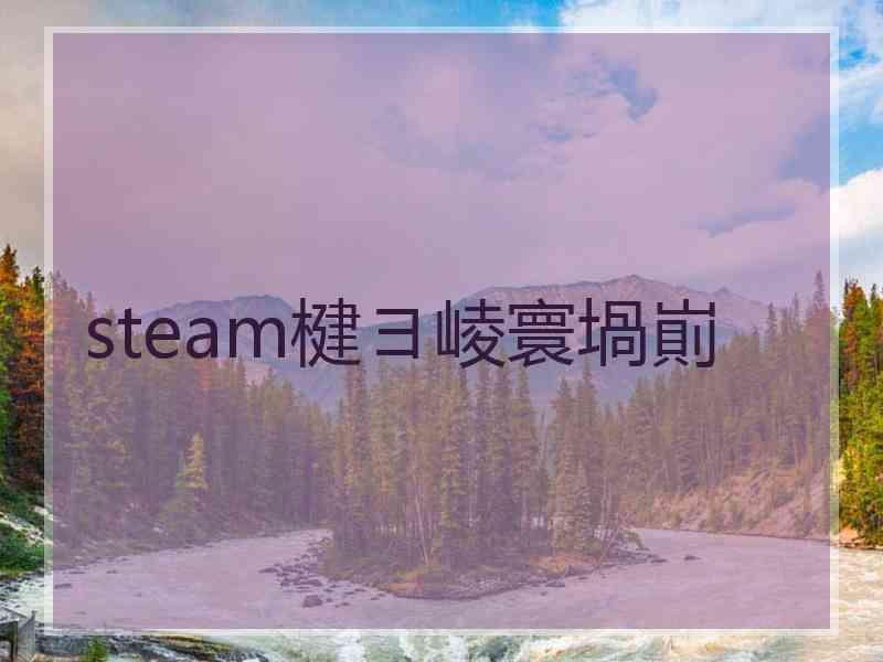 steam楗ヨ崚寰堝崱