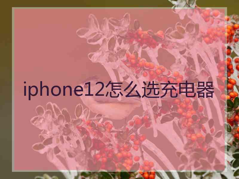 iphone12怎么选充电器