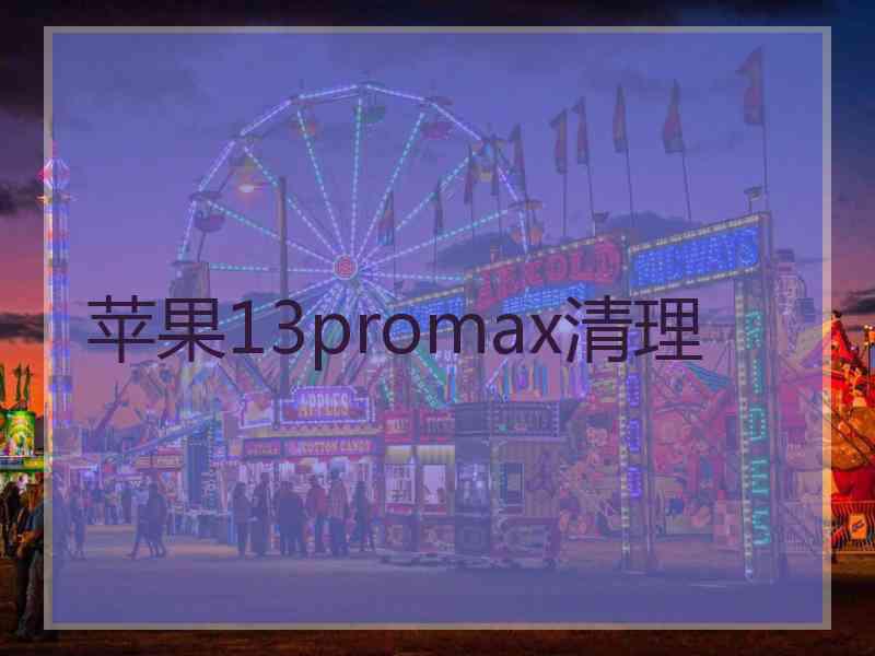 苹果13promax清理