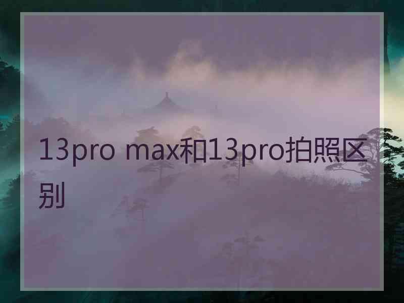 13pro max和13pro拍照区别