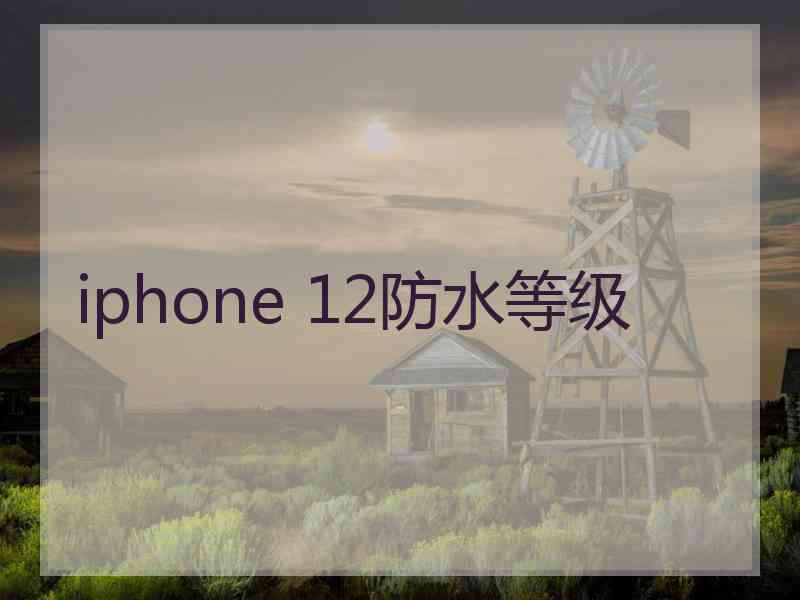 iphone 12防水等级