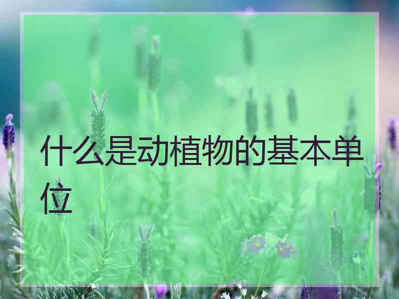 什么是动植物的基本单位