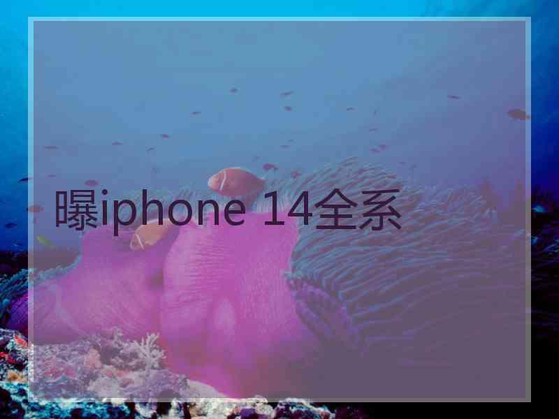 曝iphone 14全系