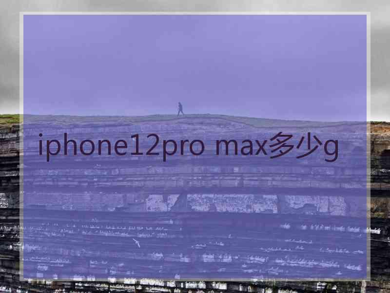 iphone12pro max多少g