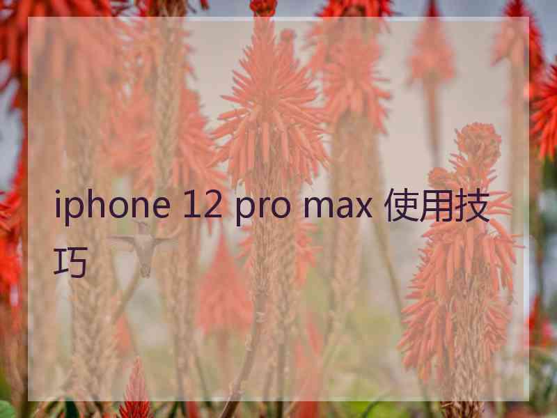 iphone 12 pro max 使用技巧