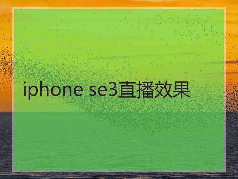 iphone se3直播效果